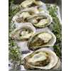  Canada Cup Oyster - 25 count